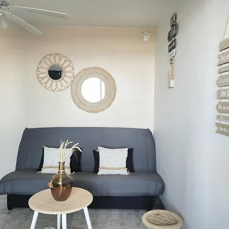 Apartment - T2 Moderne 4 Pers, Acces Direct Plage, Terrasse Vue - Fr-1-794-103