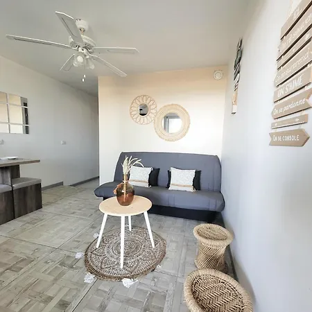 - T2 Moderne 4 Pers, Acces Direct Plage, Terrasse Vue - Fr-1-794-103 *