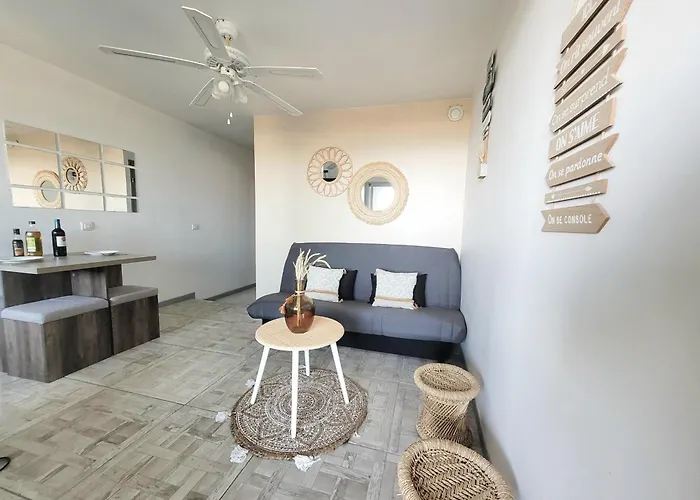 - T2 Moderne 4 Pers, Acces Direct Plage, Terrasse Vue - Fr-1-794-103 *