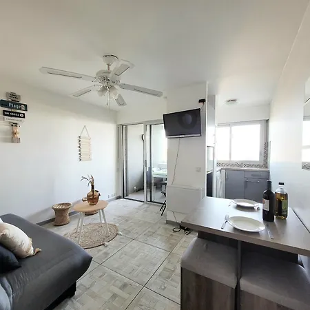 Appartamento - T2 Moderne 4 Pers, Accès Direct Plage, Terrasse Vue - Fr-1-794-103 Canet-en-Roussillon