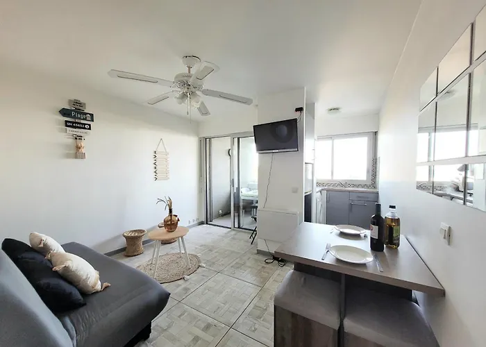 Apartamento - T2 Moderne 4 Pers, Acces Direct Plage, Terrasse Vue - Fr-1-794-103 Canet-en-Roussillon